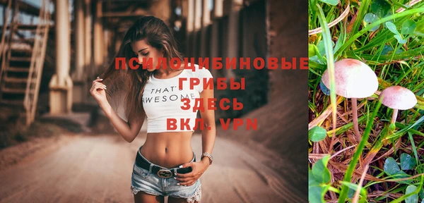 герыч Няндома