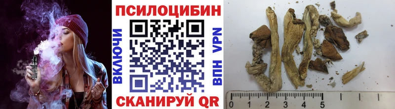 Псилоцибиновые грибы MAGIC MUSHROOMS  Прохладный 