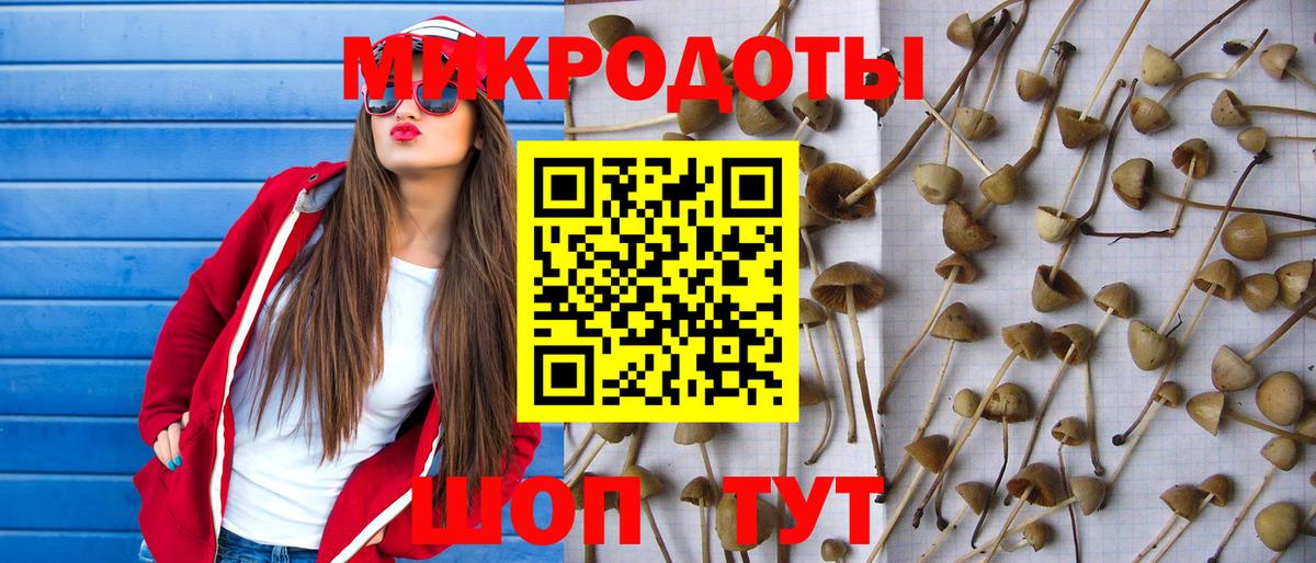 Псилоцибиновые грибы Cubensis  Прохладный  Галлюциногенные грибы мицелий 