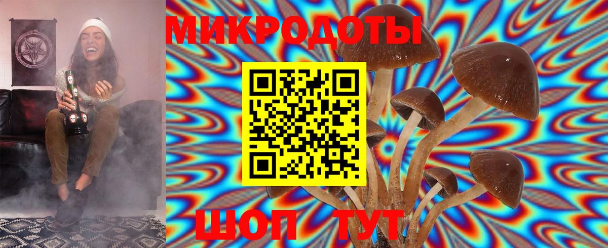 Псилоцибиновые грибы GOLDEN TEACHER Прохладный